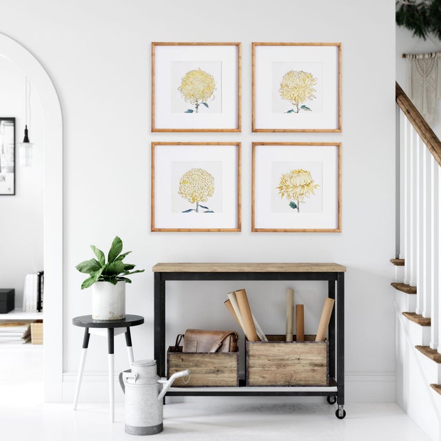 Early 21st Century Chrysanthemum Prints, Set Of 4 For Sale - Image 5 of 6