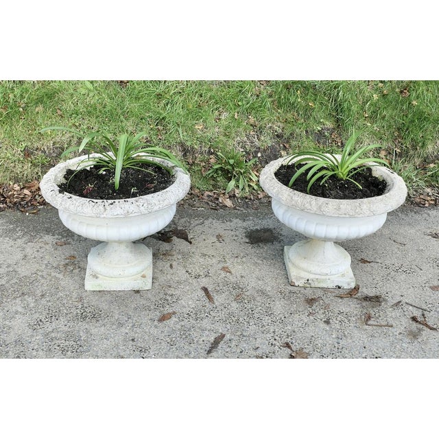 1930s Large Weathered Cast Stone Garden Planters, 1930s, Set of 2 For Sale - Image 5 of 7