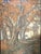 Heinrich Landgrebe, Fulda Castle Courtyard, Oil Painting on Canvas, in Very Good conditions. Designed 1890 to 1919 This...