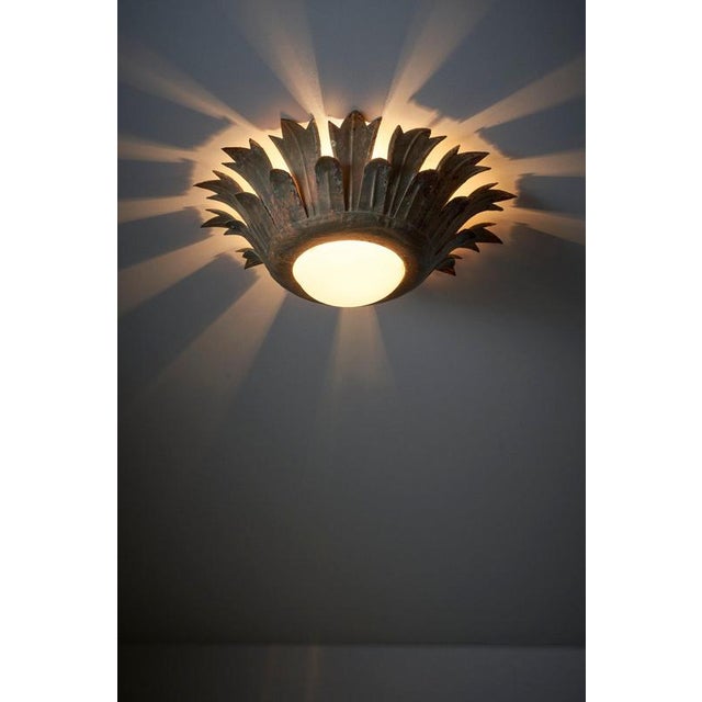 Sunflower Wall Light with Textured Glass Diffuser For Sale - Image 3 of 11