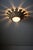 Sunflower Wall Light with Textured Glass Diffuser For Sale - Image 3 of 11