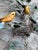 Vintage Metal Wall Sculpture of Songbirds in Blossoming Branches With Nest For Sale - Image 4 of 7