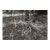 Landscape Digital Archival Print "Bush #2" by Jacques Gael Cressaty 2025 For Sale