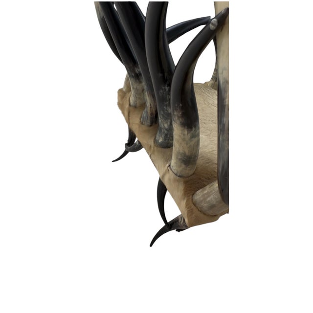Cream Pair of Rare Vintage Steer Horn &Amp; Cowhide Rustic Southwestern Armchairs. For Sale - Image 8 of 12