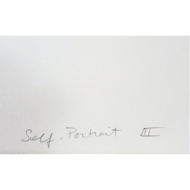 Late 20th Century Pia Stern, Self Portrait III, 1994 For Sale - Image 5 of 6