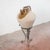 This charming terracotta amphora, complete with an iron stand, is an authentic piece of rustic antiques. Dating back to...