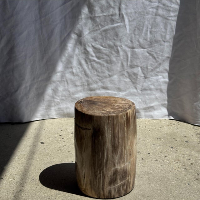 Small Side Table in Beige-Grey and Petrified Wood, 1980s For Sale - Image 16 of 18