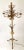 Mid-Century Modern Italian Gilt Metal Candelabra Floor Lamp with Sheaf of Wheat Motif, 1963 For Sale - Image 3 of 18