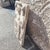 17th Century Carved Marble Coat of Arms with Various Heraldic Symbols For Sale - Image 15 of 16