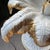 Late 20th Century Palm Tree Monkey Pedestal Dining Table - Newly Painted For Sale - Image 12 of 12