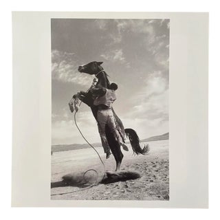 Ernst Haas Limited Edition Photograph “Leaping Horse” - ‘The Misfits’ (1960), Nevada For Sale