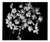 Ugne Pouwell, Bloom Cluster, 2024, Photography For Sale