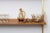 E60 Bookcase attributed to Osvaldi Borsani for Tecno, 1954 For Sale - Image 6 of 8