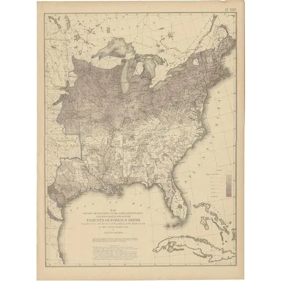 Antique Chart of US Foreign Parentage Proportion in 1870, 1874 For Sale - Image 6 of 6