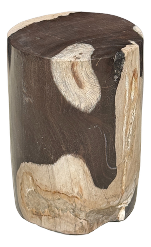 Small Side Table in Black and White Petrified Wood, 1980s