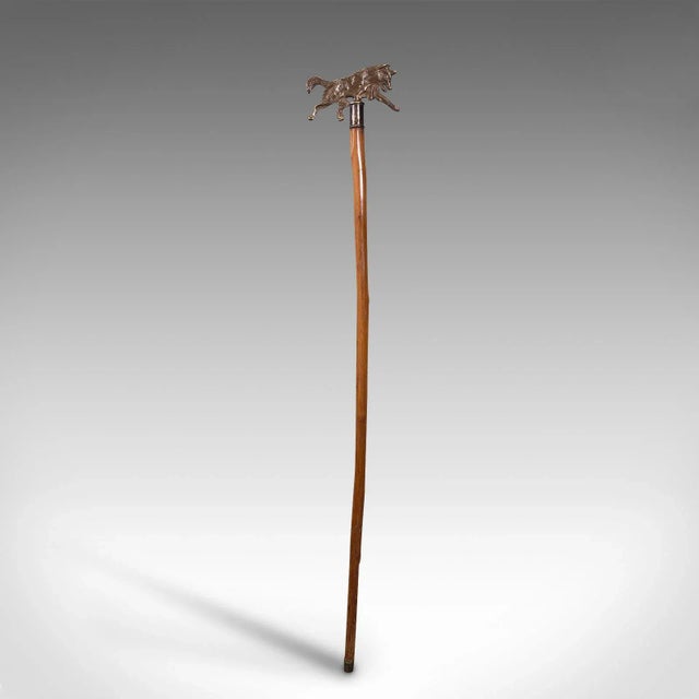 This is a vintage gentleman's walking stick. An English, bentwood hazel and brass cane, dating to the mid 20th century,...