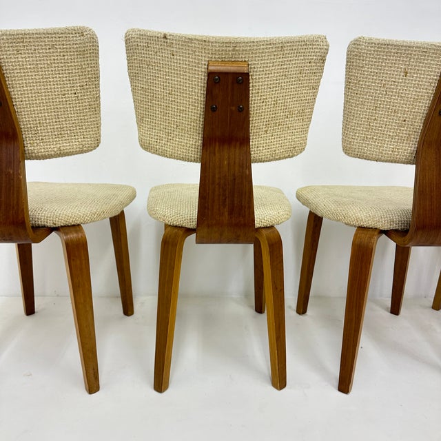 Brown Dutch Plywood Dining Chairs by Cor Alons, 1960s, Set of 4 For Sale - Image 8 of 18