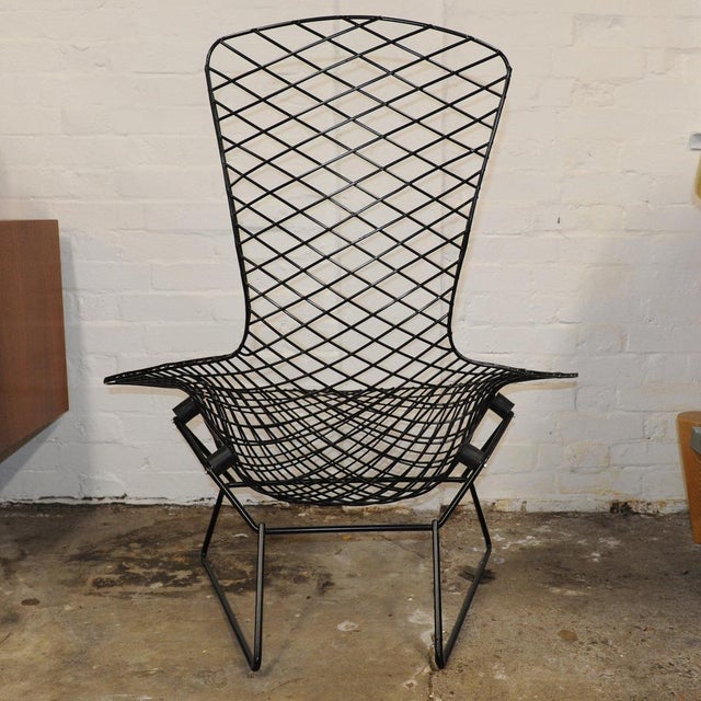 Bird Chairs by Harry Bertoia for Knoll, 1950s, Set of 2 For Sale - Image 9 of 15