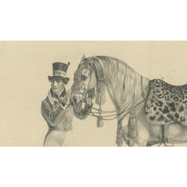 G. Ebner, Arabian Horse Vezier with Groom, Stuttgart 1846, Paper Lithograph For Sale - Image 4 of 9