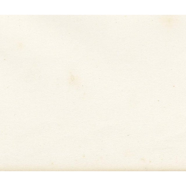 Deroy, Toulouse Veterinary School, Three Views, 1873, Paper For Sale - Image 9 of 12