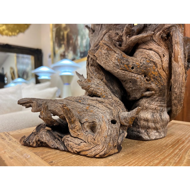 Brown Handcrafted Copper and Sonoran Desert Velvet Mesquite Wood Table Lamp - Organic Modern For Sale - Image 8 of 18