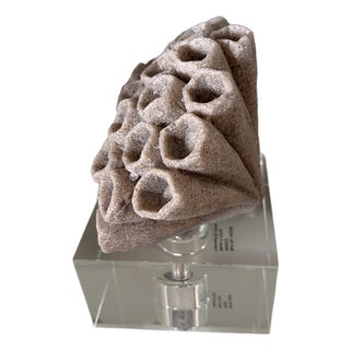 Arteriors Home Wilcomb Sculpture For Sale