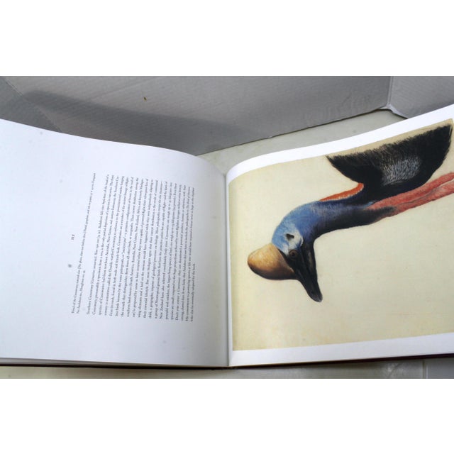 A Flight of 3 Elegant Bird Books – Audubon, Fuentes, Peterson –Oversized Illustrated Ornithology Editions For Sale - Image 15 of 15