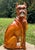 Italian Terracotta Boxer Dog Statue c.1960s For Sale - Image 16 of 17