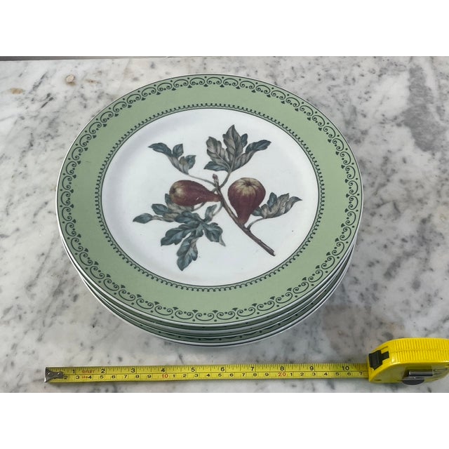Dark Green 1980s Andrea by Sadek Winterthur Adaptation Botanical Dinner Plates – Set of 14 For Sale - Image 8 of 13