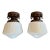 1930s Opaline Art Glass Flushmount Ceiling Lights With Ornate Canopies - a Pair For Sale
