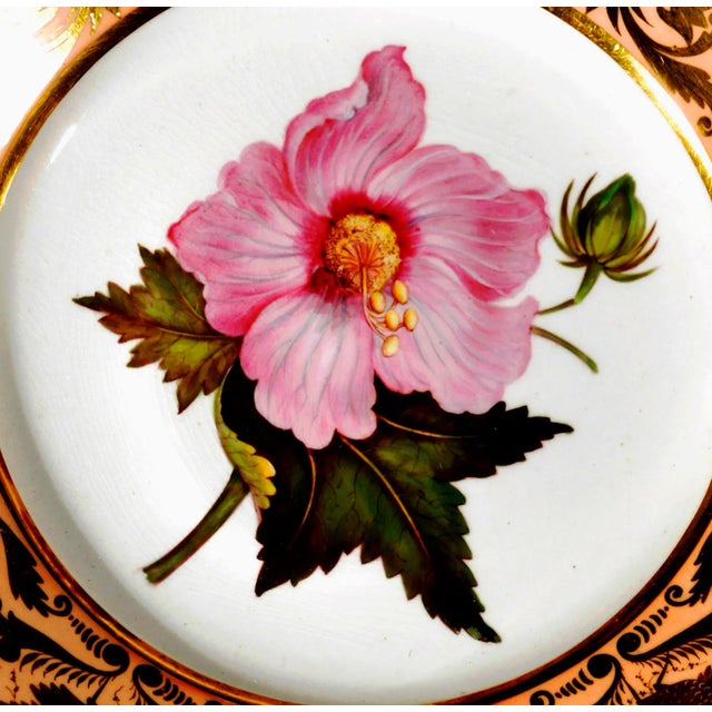 Ceramic Antique Derby Porcelain Botanical Plate, Marsh Hibiscus, Salmon Ground With Gilt Swans, John Brewer, Circa 1815 For Sale - Image 7 of 12