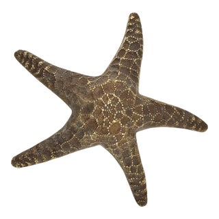 Large Vintage Cast Brass Starfish Sculpture or Paper Weight With Aged Patina, Circa 1970s For Sale
