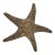 Large Vintage Cast Brass Starfish Sculpture or Paper Weight With Aged Patina, Circa 1970s For Sale