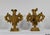 Florentine Fire Pot Candleholders in Golden Linden, Late 18th Century, Set of 2 For Sale - Image 15 of 18
