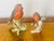 Antique German Goebel polychrome ceramic pair of Red Robin bird figurines on branches. glazed and unglazed,