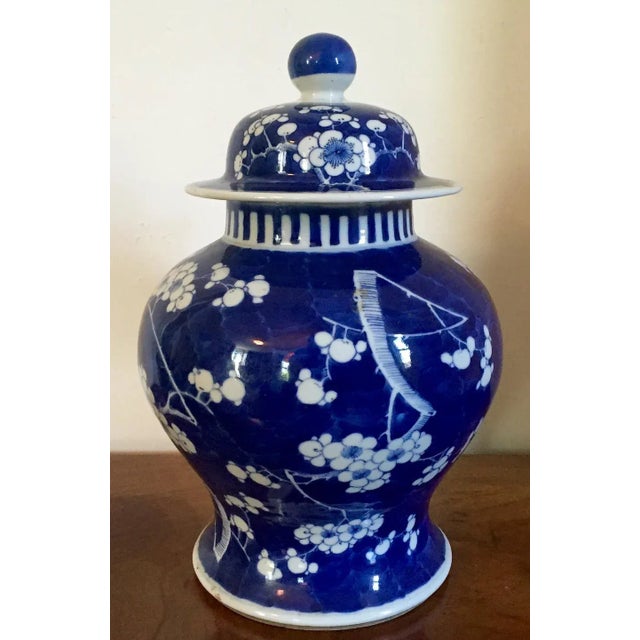 Chinese 19th Century Chinese Blue & White Porcelain Prunus or Hawthorne Urn For Sale - Image 3 of 11