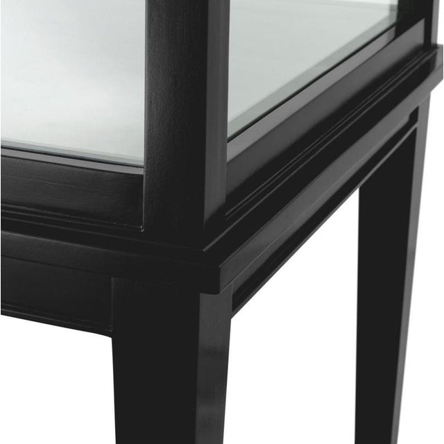 Black Display Cabinet in Wood Veneer and Clear Glass For Sale - Image 6 of 7