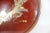 Vintage Japanese Lacquered Wood Tray Round Gold Detail Signed For Sale - Image 12 of 12
