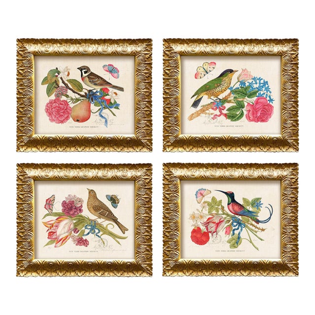 Vintage Reproduction Giclee Print Set of "Birds and Butterflies"-Framed (Set of All 4) For Sale