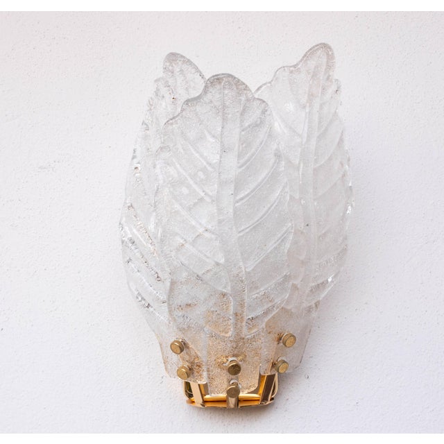 Italian Set of 4 Florence Murano Wall Light Transparent Leaves, 1970 For Sale - Image 3 of 13
