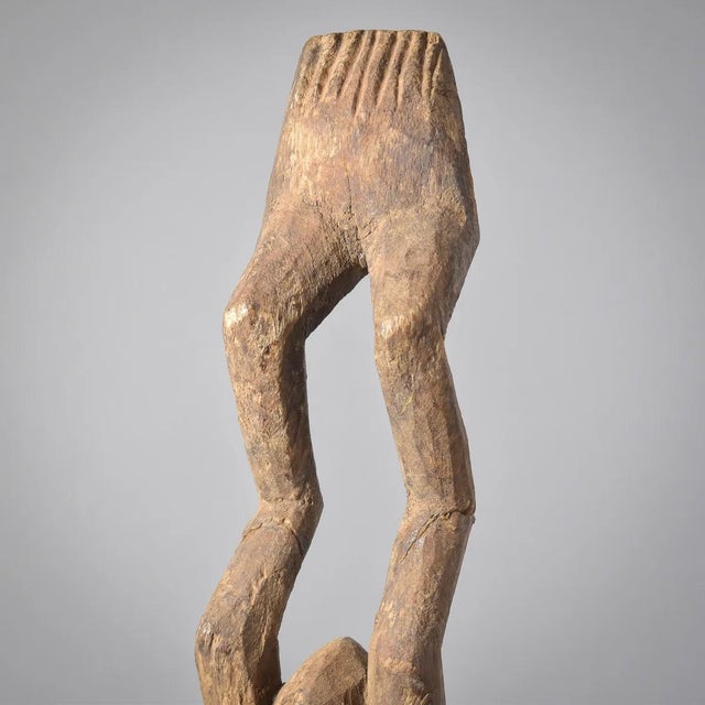 The oral tradition of the Dogon tells us that they originated on the west bank of the Niger River about 1000 years ago....