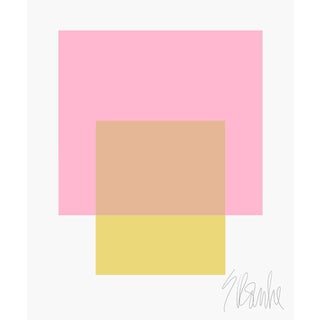 The Interaction of Light Pink and Celery Green Fine Art Print 20" X 24" by Liz Roache For Sale