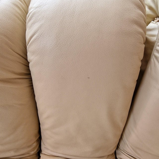 DS-600 Non Stop Snake Modular Sofa in Leather by Eleonore Peduzzi Riva for de Sede, 1980s For Sale - Image 10 of 15