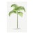 Vintage Palm Tree Illustration, Botanical Art Print Reproduction, 16" X 24" For Sale