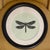 Traditional Natural Curiosities Dragonfly Prints Framed For Sale - Image 3 of 8