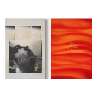 Perry Vàsquez Mixed Media Conceptual Portrait, "Diptych" - Set of 2 For Sale
