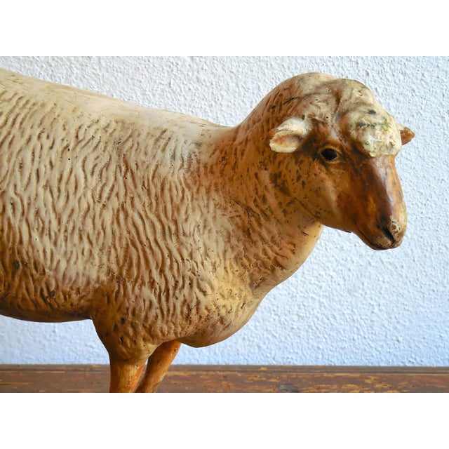 Antique 1930s Zoological Sheep Figurine / Model Used in School For Sale - Image 6 of 11