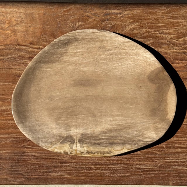 Large Oval Beige Petrified Wood Trinket Tray, 1980s For Sale - Image 9 of 9