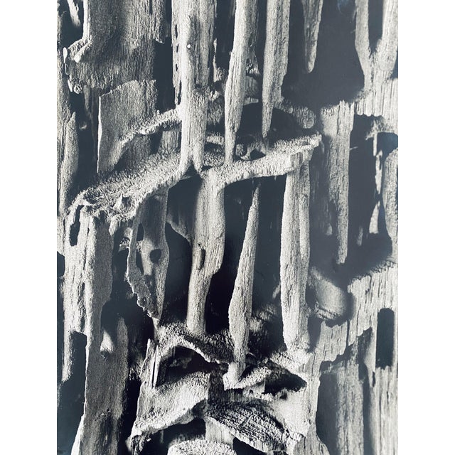 American Andreas Feininger, American Photographer Nature Silver Gelatin Vintage Print For Sale - Image 3 of 5