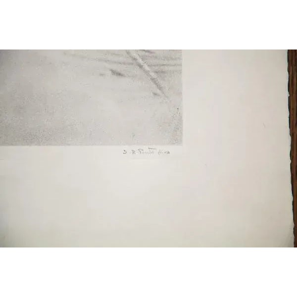 Contemporary D.R. Peretti Griva Original Bromoil Transfer Tree For Sale - Image 3 of 4